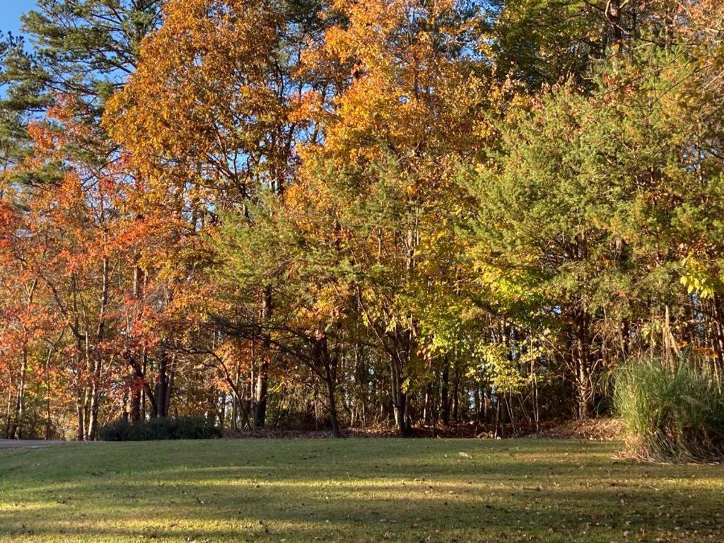 At Rivermist * Dahlonega