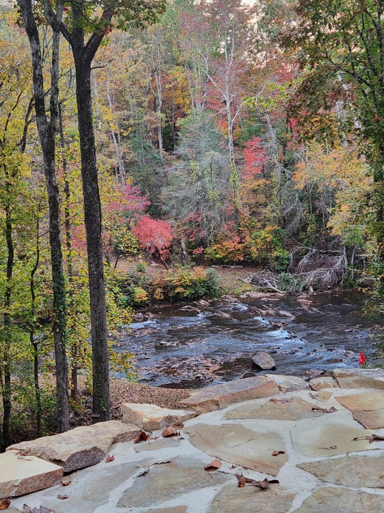 At Rivermist * Dahlonega